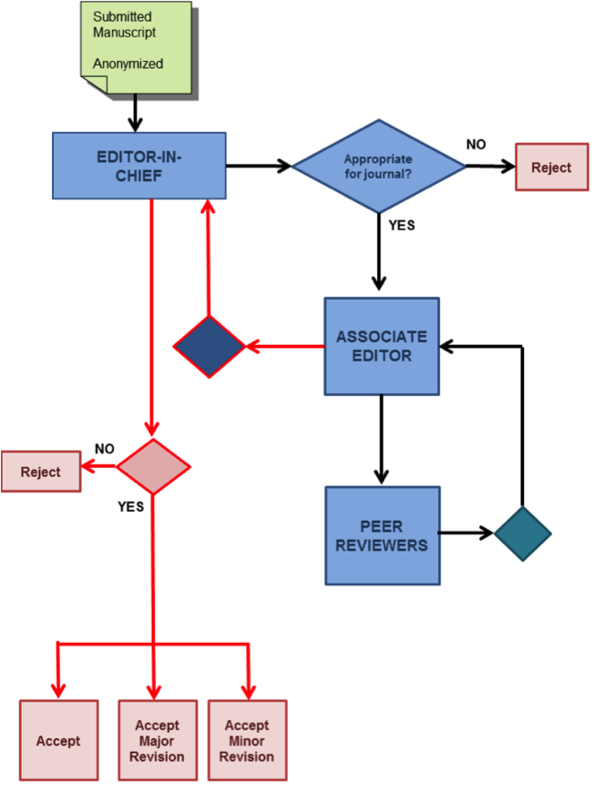 Peer Review Process